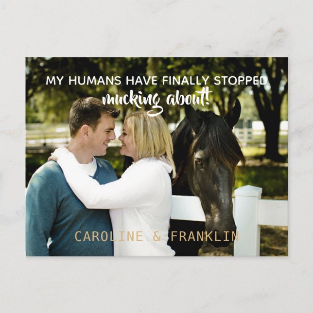 Invitation Carte Postale Mes Humains Ont Cessé De Se Moquer Du Fiançailles (Devant)