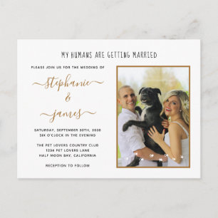 Invitation Carte Postale Mes humains se marient Photo de mariage pour anima