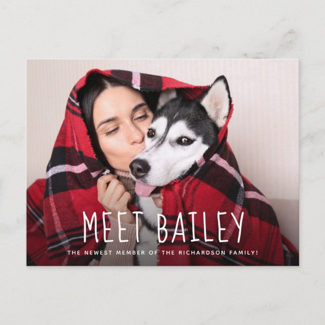 Invitation Carte Postale Notre nouveau chien pour animaux de compagnie | Fa (Devant)