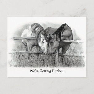 Invitation Carte Postale On se marie : chevaux, dessin au crayon, mariage