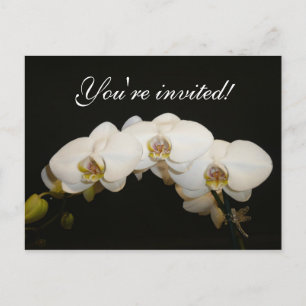 Invitation Carte Postale Orchidées blanches