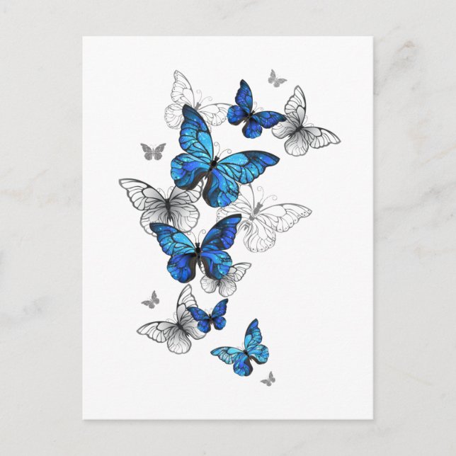 Invitation Carte Postale Papillons volants bleus Morpho (Devant)