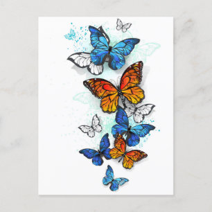 Invitation Carte Postale Papillons volants Morpho et Monarch