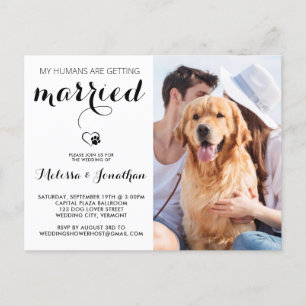 Invitation Carte Postale Photo de chien moderne simple Mariage de animal de