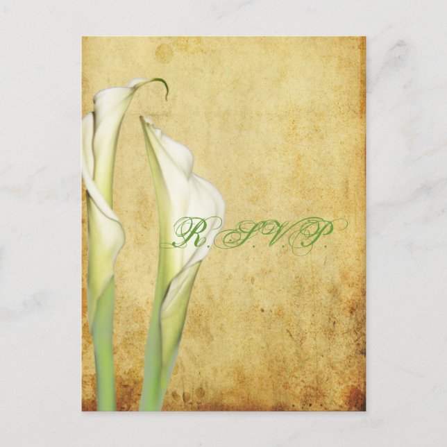 Invitation Carte Postale PixDezines Vintage Calla Lily (Devant)