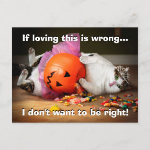 Invitation Carte Postale Princesse Chat avec seau de bonbons