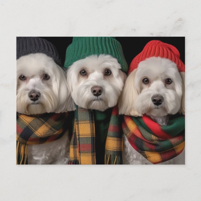 Invitation Carte Postale Pups de vacances (Devant)
