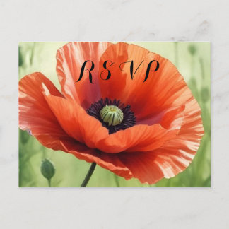 Invitation Carte Postale Red Poppy RSVP Postcard