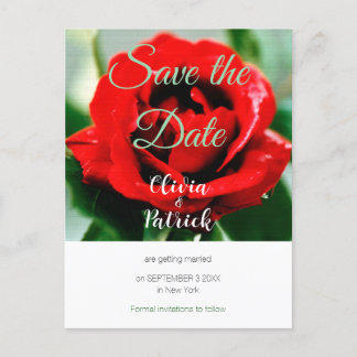 Invitation Carte Postale Red Rose Wedding Enregistrer la date