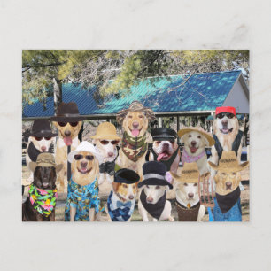 Invitation Carte Postale Réunion de famille amusante