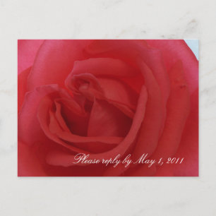 Invitation Carte Postale Rose rouge RSVP