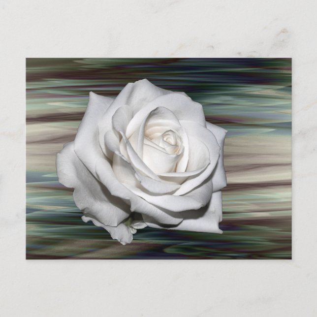 Invitation Carte Postale Safari romantique Floral Guest Fête des mariées De (Devant)