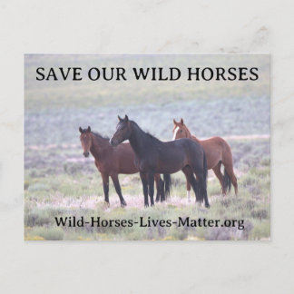 Invitation Carte Postale Sauvez nos chevaux sauvages