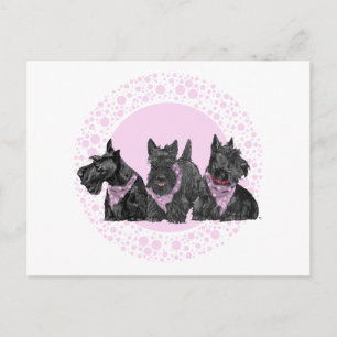 Invitation Carte Postale Scotties de célébration en rose