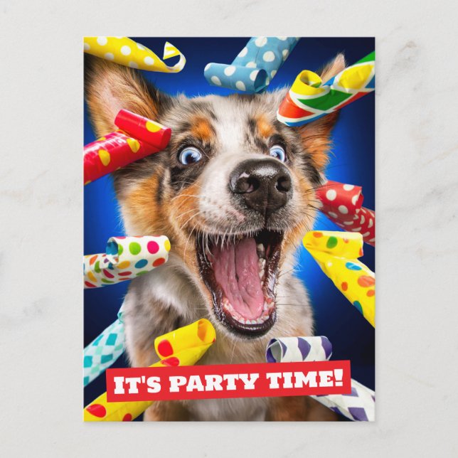 Invitation Carte Postale Sifflets pour fête de chien heureux (Devant)