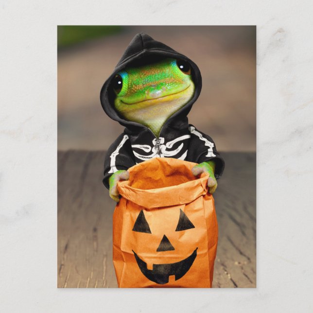 Invitation Carte Postale Squelette de Gecko (Devant)