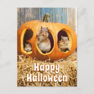 Invitation Carte Postale Tamias à l'intérieur de Boo Jack-o-Lantern
