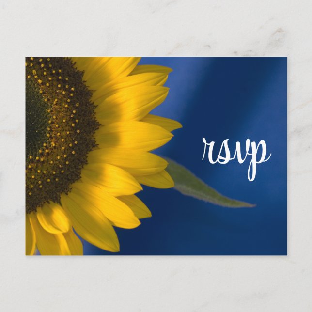 Invitation Carte Postale Tournesol sur le mariage bleu Réponse RSVP (Devant)