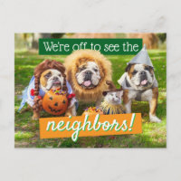 Trois Bulldogs en costumes