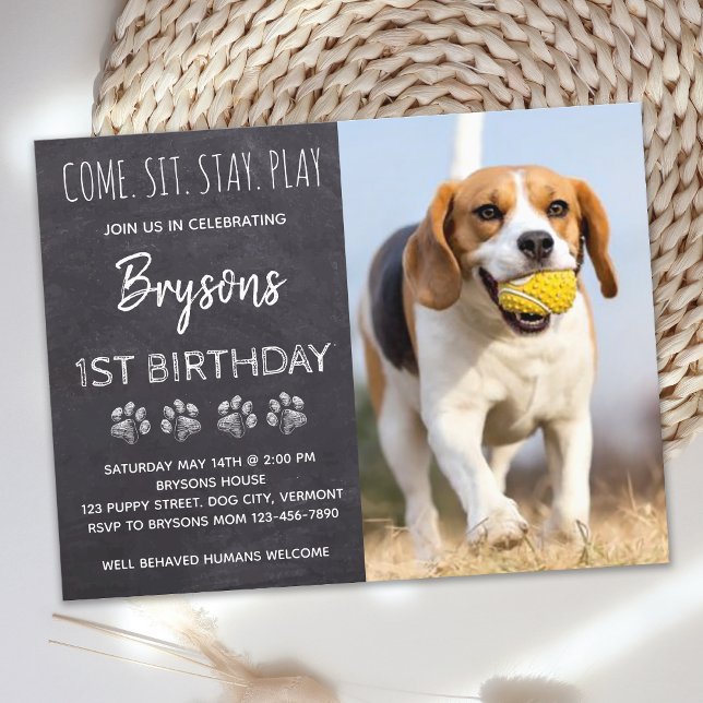 Invitation Carte Postale Venez Sit Stay Play Chalkboard Puppy Chien Anniver (Créateur téléchargé)