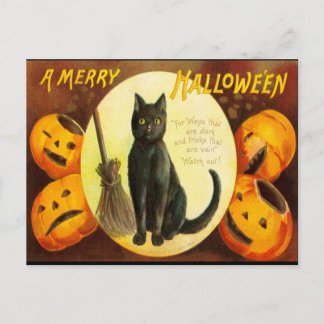 Invitation Carte Postale Vintage Chat noir Sanglant Texte Halloween Party I