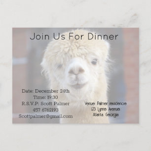 Invitation Carte Postale Visage d'alpaca mignon       