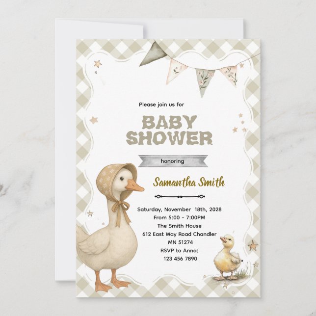 Invitation Carton d'invitation à une baby shower Silly Goose (Devant)