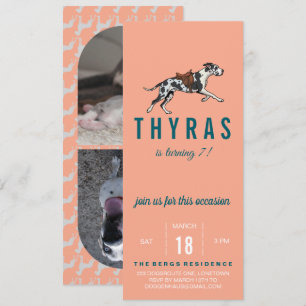 Invitation Carton d'invitation d'anniversaire de Grand Danois