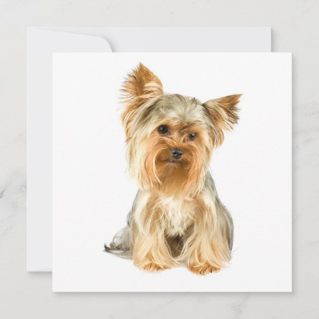 Invitation Cartons d'invitation pour chiots Yorkie (Devant)