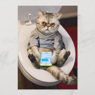 Invitation Cat on Toilet