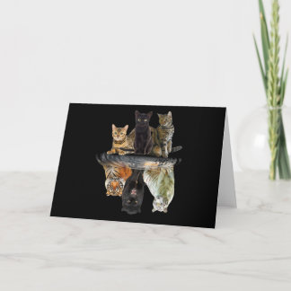 Invitation Cats Reflection Friend Cat Lovers Cute Tiger