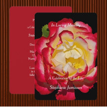 Célébration de la vie Élégante rose rouge or flora