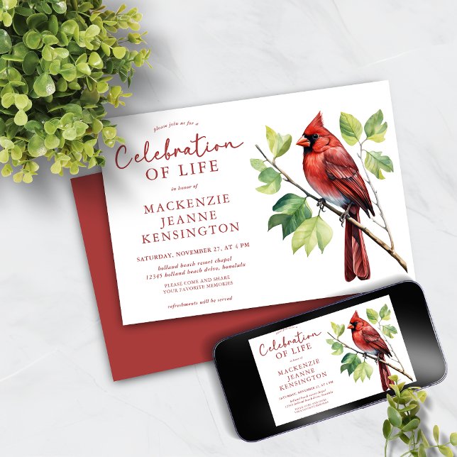Invitation Célébration de la vie par le cardinal Red Bird (Cardinal Red Bird Celebration of Life Memorial Invitation)