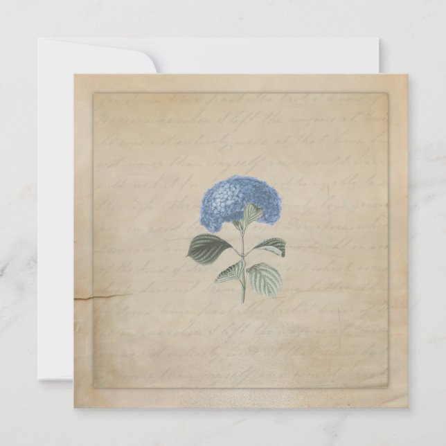 Invitation Cérémonie des Mariages Vintages Blue Hydrangea sur (Devant)