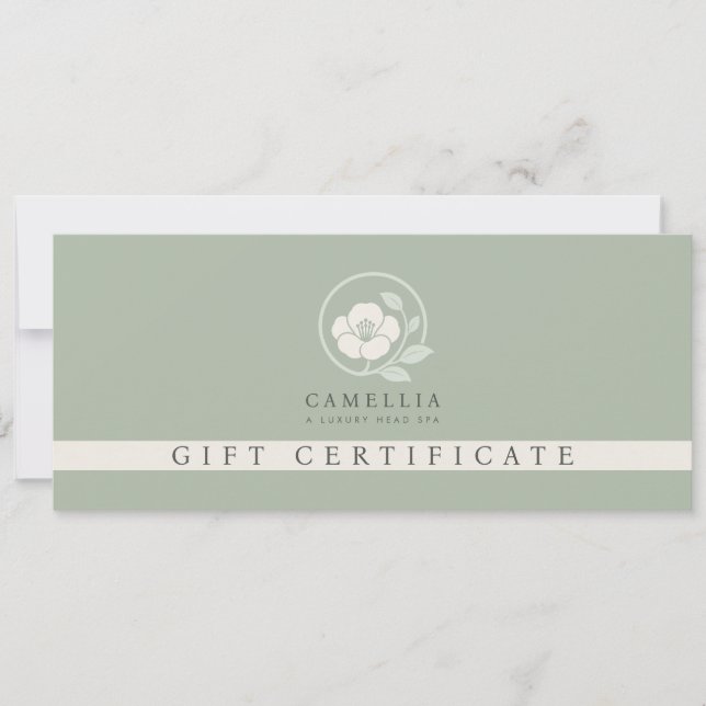Invitation Certificat Cadeau de Spa de Tête Professionnel Mod (Devant)