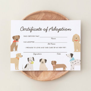 Invitation Certificat d'adoption d'anniversaire de chien