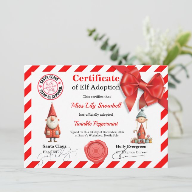 Invitation Certificat d'adoption officiel de lutin du Pôle No (Debout devant)