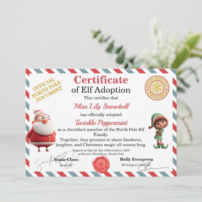 Invitation Certificat d'adoption officiel de lutin du Pôle No (Debout devant)