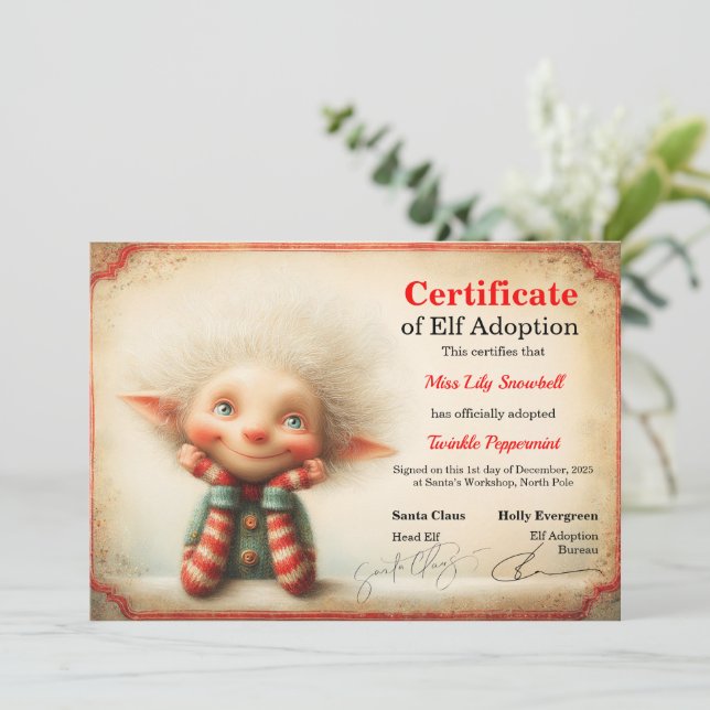 Invitation Certificat d'adoption officiel de lutin du Pôle No (Debout devant)