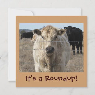 Invitation C'est un Roundup ! Vaches - Cattle Drive Celebrati