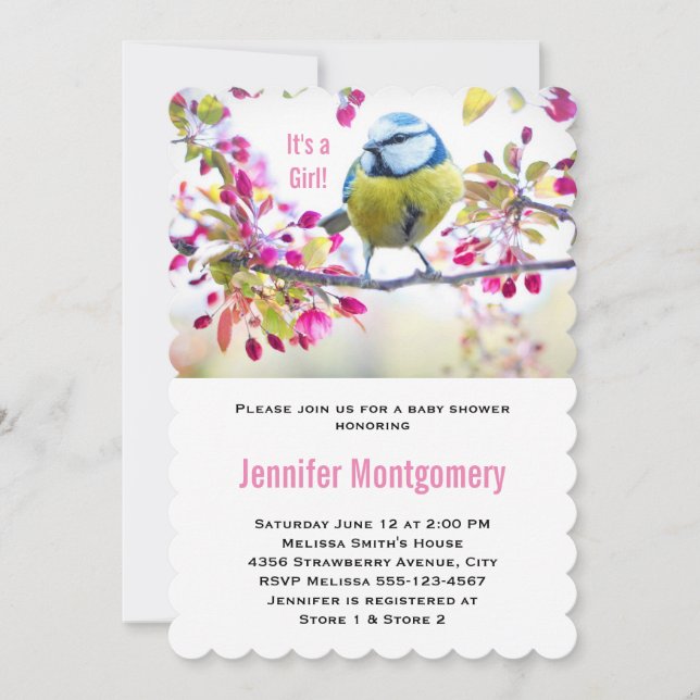 Invitation C'est une jolie fille Bleue Oiseau Springtime Baby (Devant)