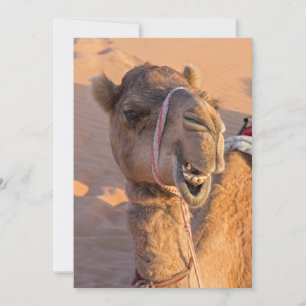 Invitation Chameau drôle