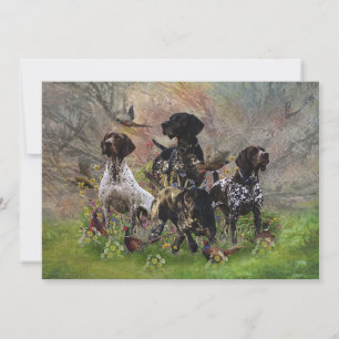 Invitation Chasse faisan avec GSP