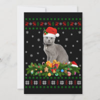 Chat Amateur d'Animaux Chapeau de Père Noël Laid C