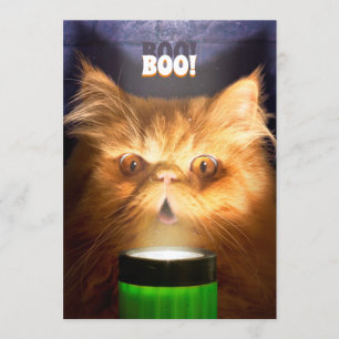 Invitation Chat avec lampe de poche