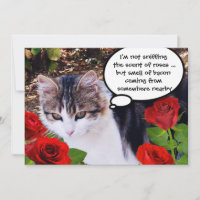 CHAT AVEC ROSES ROUGES BACON BRUNCH PARTI