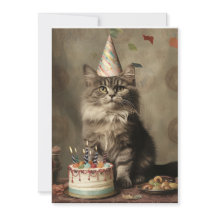 Chat d'anniversaire