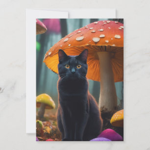 Invitation chat dans les MUSHROOM