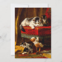 Chat et chatons Jouer avec chaise