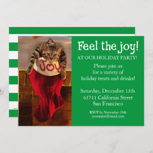 Invitation Chat gras dans la réserve de Noël